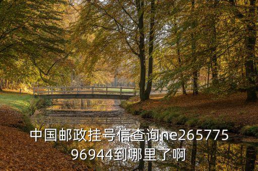 廣州 局 加掛 牌子，汽車牌照后面加個掛是什么意思啊