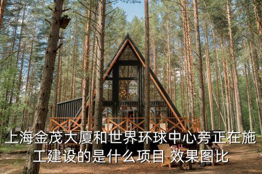 上海市陽光城檀悅101項目，陽光城在上海打造了第一個項目 不知道叫什么
