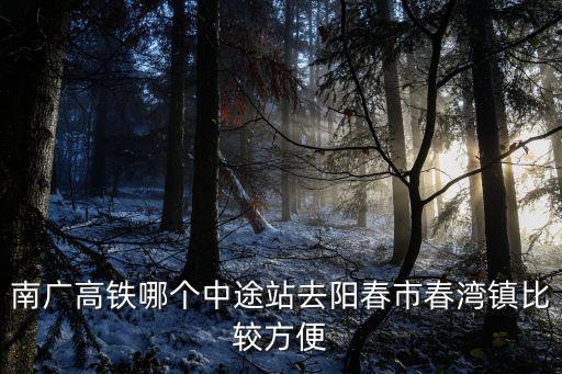 南廣高鐵哪個中途站去陽春市春灣鎮比較方便