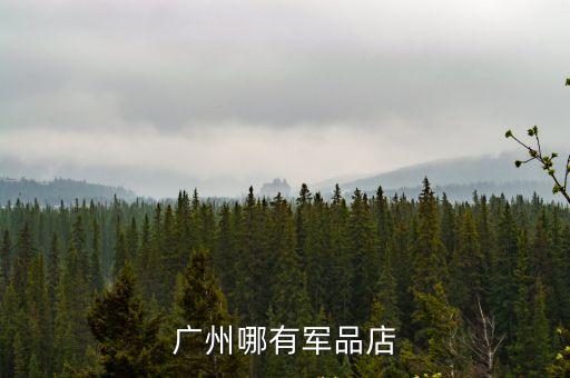 廣州哪有軍品店