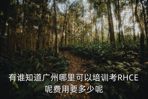 廣州急救知識培訓班，有誰知道廣州哪里可以培訓考RHCE呢費用要多少呢