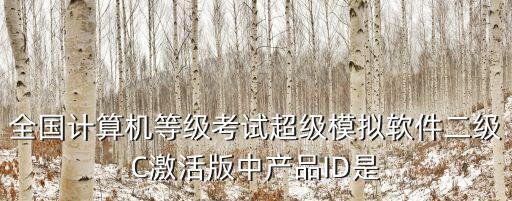 全國計算機等級考試超級模擬軟件二級C激活版中產品ID是