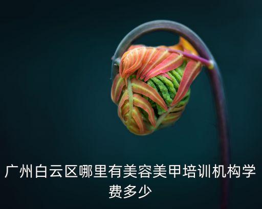 廣州白云區哪里有美容美甲培訓機構學費多少