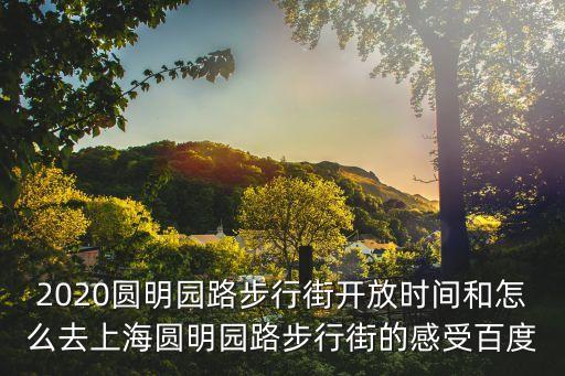 上海市圓明園路北外灘夜市景，上海那里的夜市好看呢