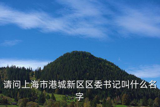 請(qǐng)問上海市港城新區(qū)區(qū)委書記叫什么名字