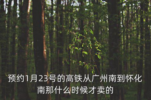 預(yù)約1月23號的高鐵從廣州南到懷化南那什么時候才賣的