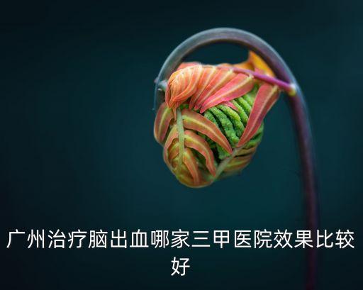 廣州治療腦出血哪家三甲醫院效果比較好