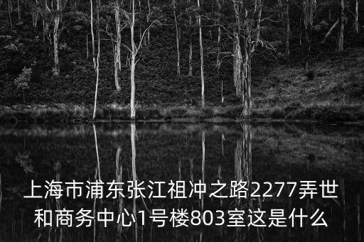 上海市浦東張江祖沖之路2277弄世和商務(wù)中心1號(hào)樓803室這是什么