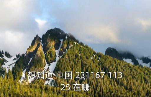 想知道 中國 231167 11325 在哪
