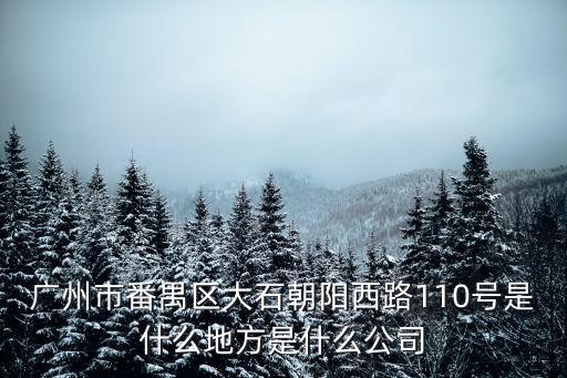 廣州市番禺區(qū)大石朝陽西路110號是什么地方是什么公司