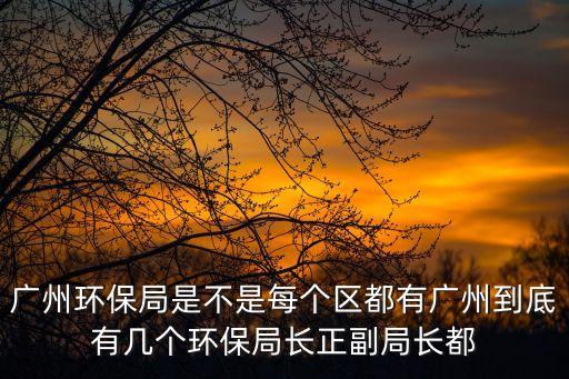廣州環保局局長向，廣州市環保局局長是誰