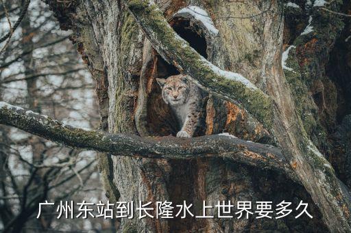 廣州東站到長隆水上世界要多久