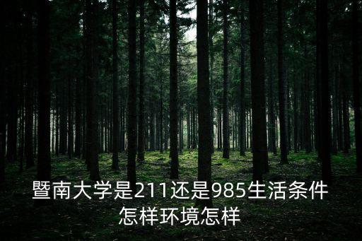廣州的211暨南大學，暨南大學是211還是985生活條件怎樣環境怎樣