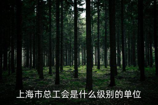 上海市鎮(zhèn)政府總工會(huì)，如何 加入 上海市總工會(huì)