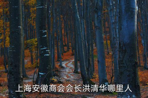 上海市2019年領軍，老公獲上海市科技進步獎一等獎對配偶轉戶口有無幫助