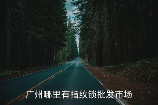 廣州哪里有指紋鎖批發(fā)市場(chǎng)