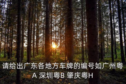 請給出廣東各地方車牌的編號如廣州粵A 深圳粵B 肇慶粵H