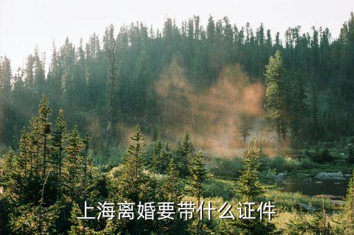 上海離婚要帶什么證件