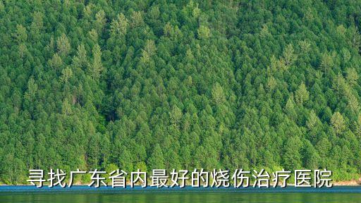 尋找廣東省內最好的燒傷治療醫院