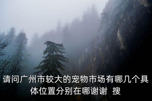 廣州哪有爬寵市場，請問廣州市較大的寵物市場有哪幾個具體位置分別在哪謝謝  搜