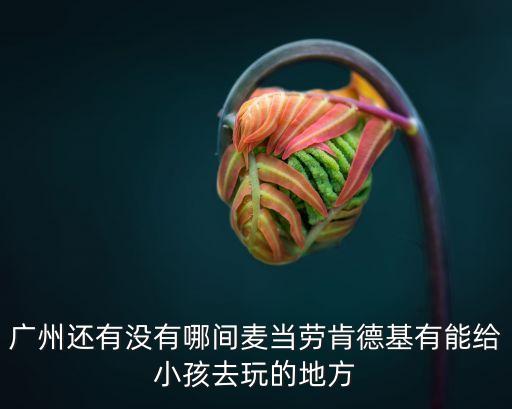 廣州還有沒有哪間麥當勞肯德基有能給小孩去玩的地方