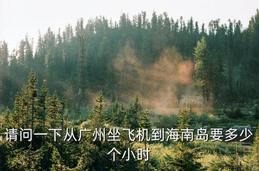 請問一下從廣州坐飛機到海南島要多少個小時