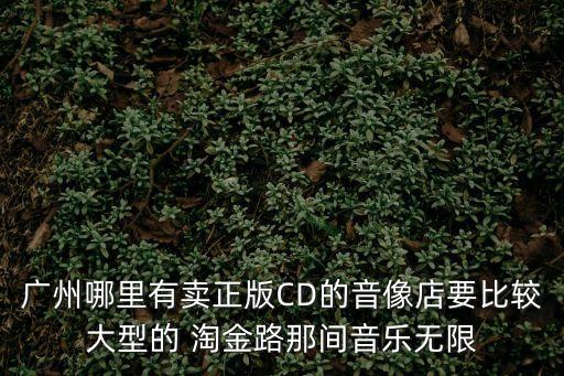 廣州哪里有賣正版CD的音像店要比較大型的 淘金路那間音樂無限