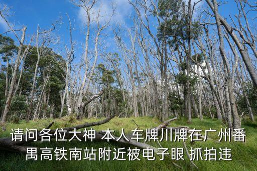 請問各位大神 本人車牌川牌在廣州番禺高鐵南站附近被電子眼 抓拍違