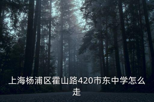 上海楊浦區霍山路420市東中學怎么走