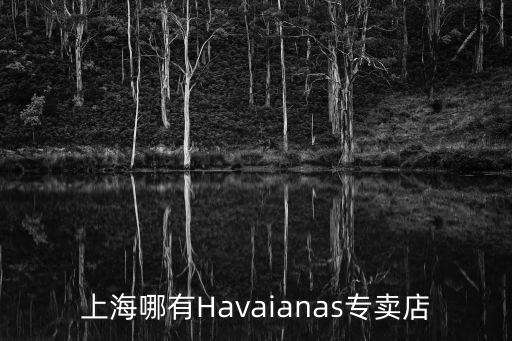 上海哪有Havaianas專賣店