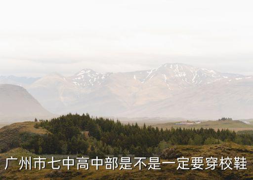 廣州知用一定要穿校鞋，廣州市七中高中部是不是一定要穿校鞋
