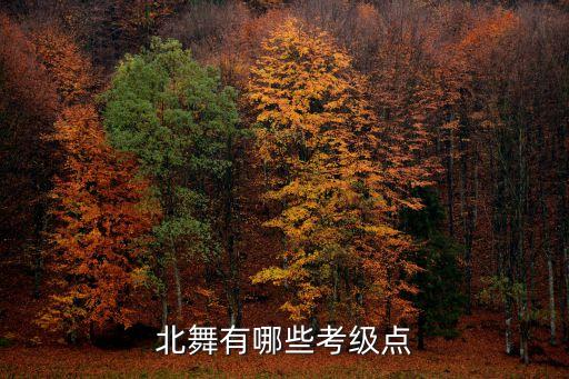 北舞考級 廣州，北舞有哪些考級點(diǎn)