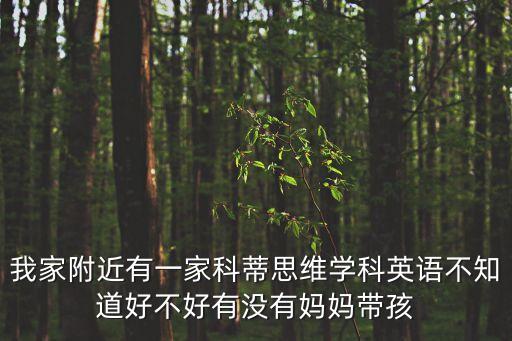 我家附近有一家科蒂思維學(xué)科英語(yǔ)不知道好不好有沒(méi)有媽媽帶孩