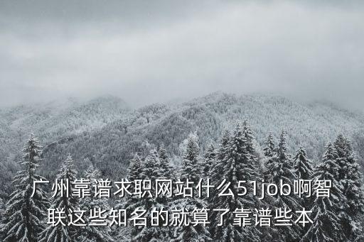 廣州靠譜求職網站什么51job啊智聯這些知名的就算了靠譜些本