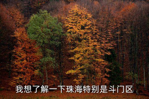 廣州那里象拔蚌好吃，創(chuàng)記漁村 明珠中路店怎么樣