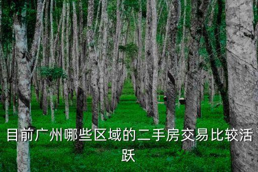 目前廣州哪些區(qū)域的二手房交易比較活躍
