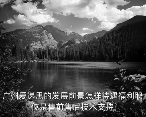 廣州愛遞思的發展前景怎樣待遇福利職位是售前售后技術支持