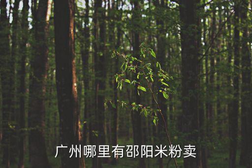 邵陽老米粉在廣州，廣州哪里有邵陽米粉賣