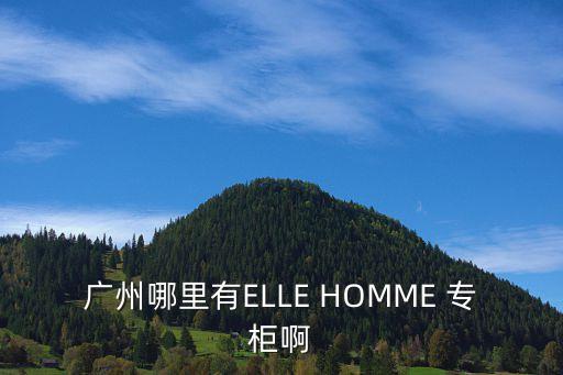廣州哪里有ELLE HOMME 專柜啊