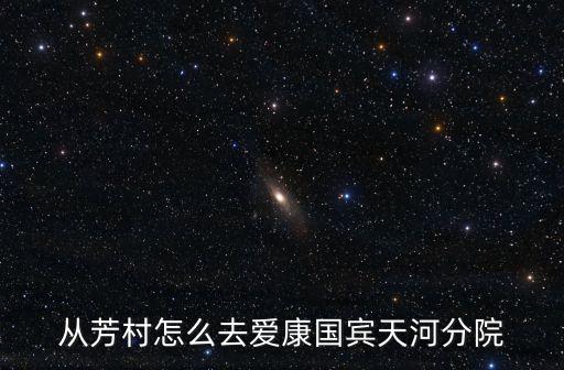 從芳村怎么去愛康國賓天河分院