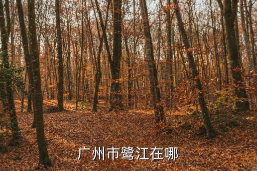 廣州鷺江西街大院，廣州市鷺江在哪