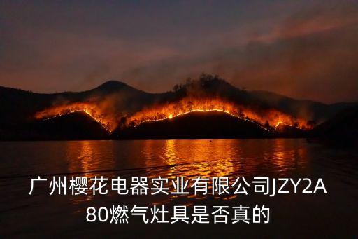 廣州櫻花電器實(shí)業(yè)有限公司JZY2A80燃?xì)庠罹呤欠裾娴? class=