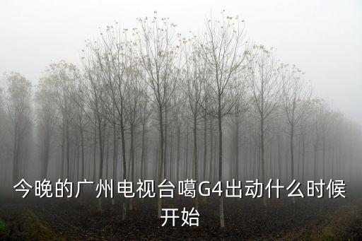 今晚的廣州電視臺噶G4出動什么時候開始