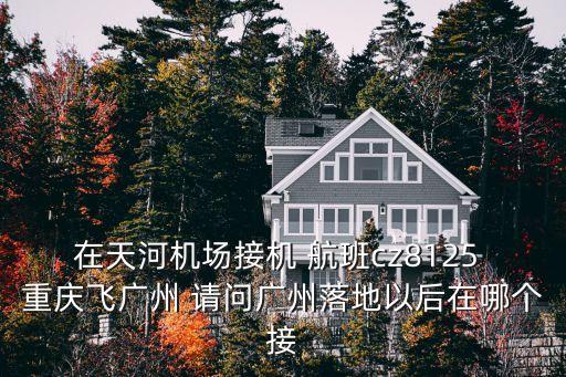 廣州機場b區w3，3月14號ZH9868深圳航空 白云機場接人去哪個出口接呀