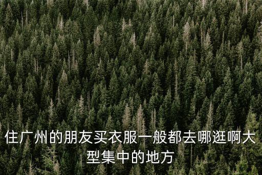 廣州大集匯，請問有人知道廣州逢農歷趕集的地方在哪有嗎