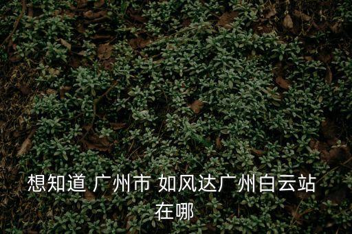 想知道 廣州市 如風(fēng)達(dá)廣州白云站 在哪