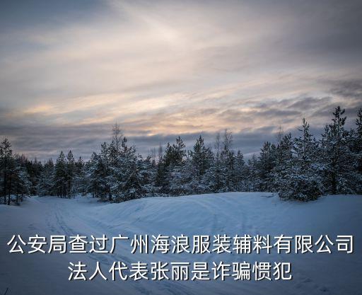 公安局查過廣州海浪服裝輔料有限公司法人代表張麗是詐騙慣犯