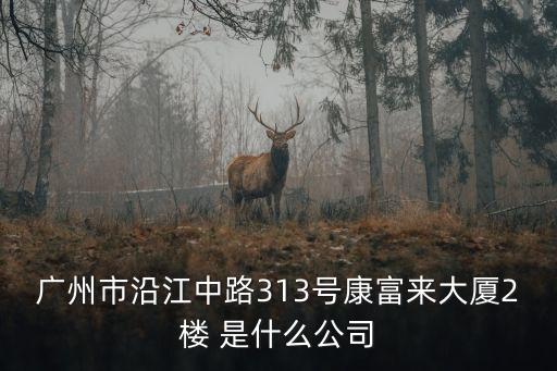 廣州市沿江中路313號康富來大廈2樓 是什么公司