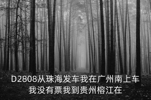 D2808從珠海發(fā)車我在廣州南上車我沒有票我到貴州榕江在