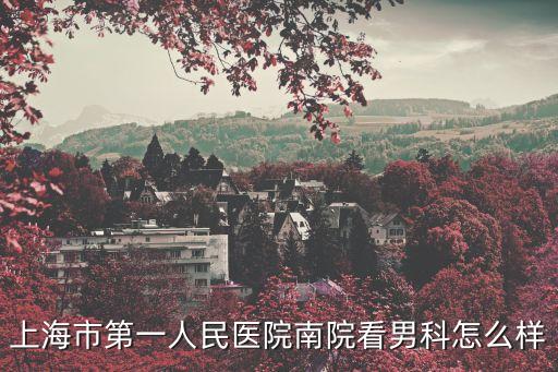 上海市第一人民醫院南院看男科怎么樣